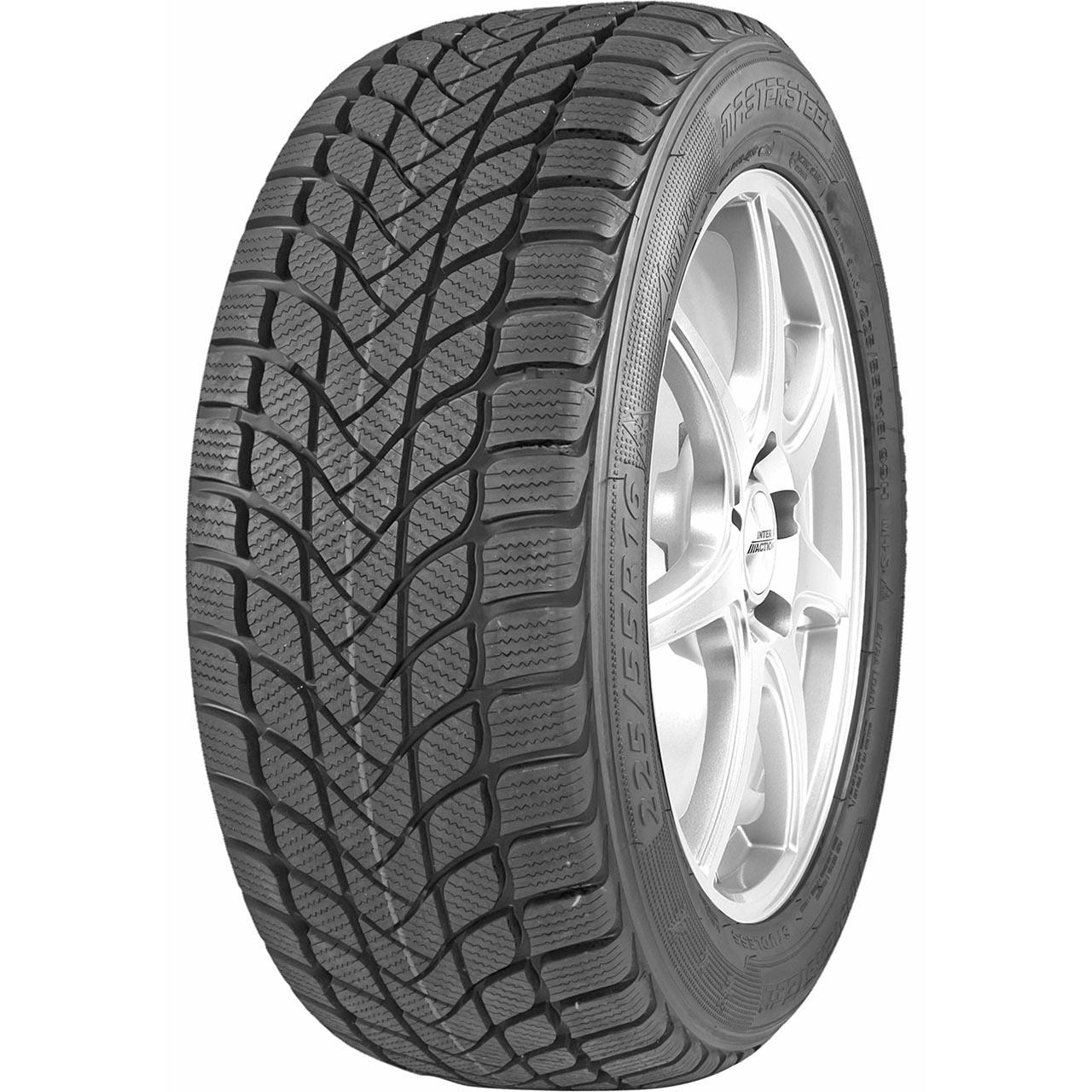 MASTERSTEEL WINTER PLUS XL 205/55 R17 95H TL M+S 3PMSF AUTO INVERNALE