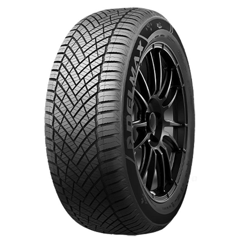 DELMAX X WEATHER 2 4S XL 225/55 R17 101W TL M+S 3PMSF AUTO 4 STAGIONI
